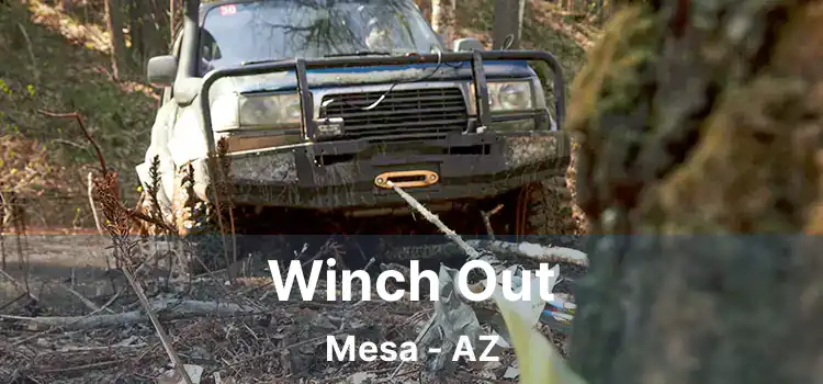 Winch Out Mesa - AZ