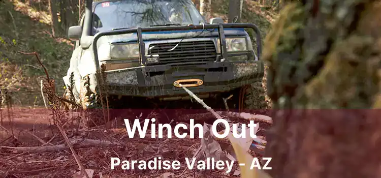 Winch Out Paradise Valley - AZ